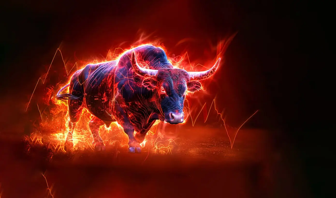 Hero Banner Bull